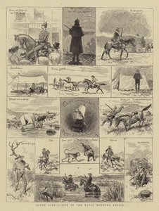 Zuid-Afrika, Leven in de Natal Mounted Police